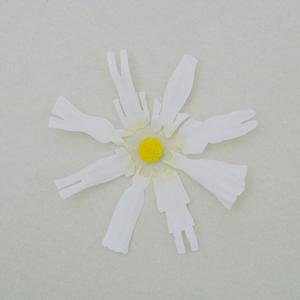 拍拍网友论坛视频在线
