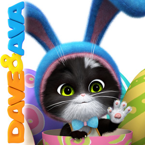 拍拍网友论坛视频在线
