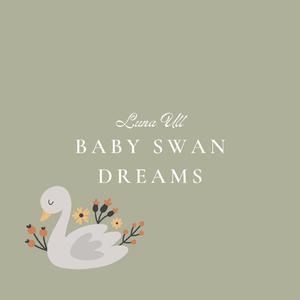 拍拍网友论坛视频在线
