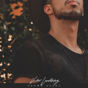 拍拍网友论坛视频在线
