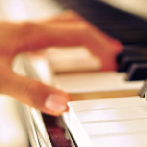 拍拍网友论坛视频在线
