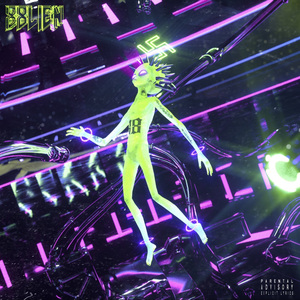 拍拍网友论坛视频在线
