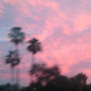 拍拍网友论坛视频在线
