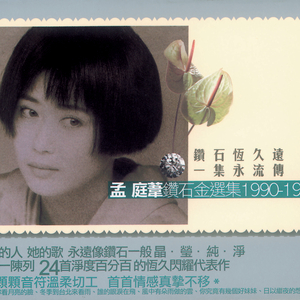 拍拍网友论坛视频在线
