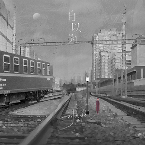 拍拍网友论坛视频在线
