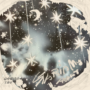 拍拍网友论坛视频在线
