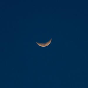 拍拍网友论坛视频在线
