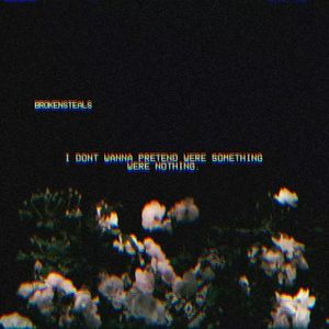 拍拍网友论坛视频在线
