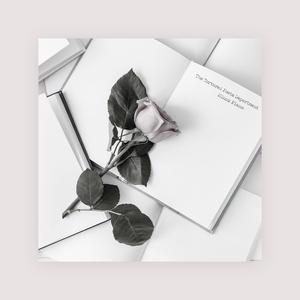 拍拍网友论坛视频在线
