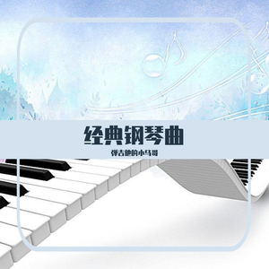 拍拍网友论坛视频在线
