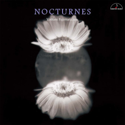 拍拍网友论坛视频在线
